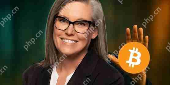 美国亚利桑那州长否决比特币储备法案导读:虚拟货币是未经验证的投资