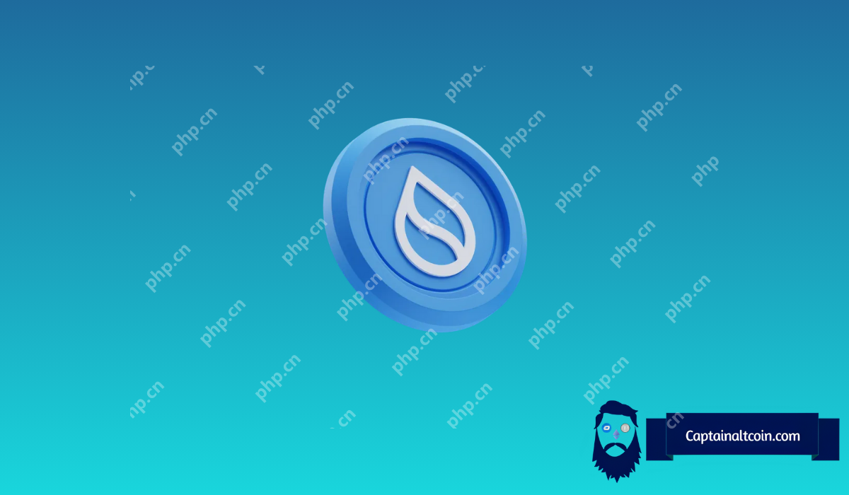 该交易者进行病毒SUI价格预测