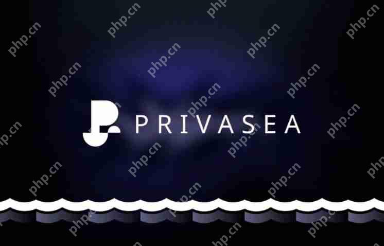 什么是Privasea AI(PRAI)？PRAI币值得投资吗？