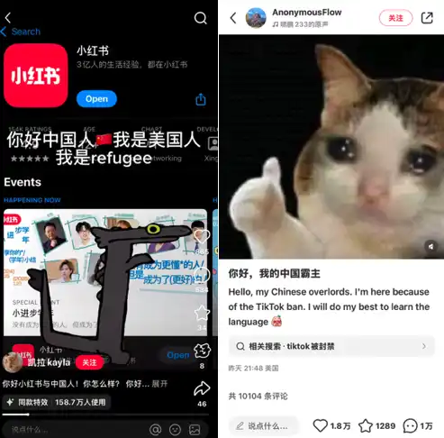 TikTok难民疯狂涌入小红书,如何从中找到Meme投资机会?