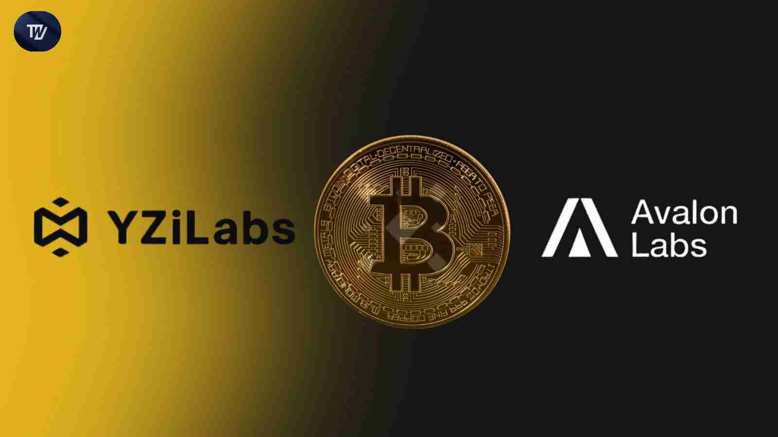 Yzi Labs投资于比特币 - 先驱分散的财务（DEFI）公司Avalon Labs