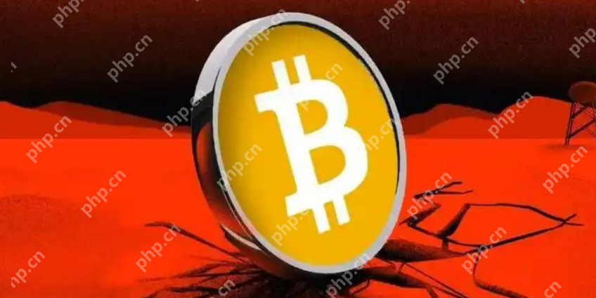 币圈行情官网软件怎么找? - php中文网