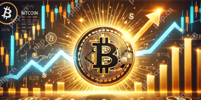 手机炒币app下载地址怎么找 - php中文网