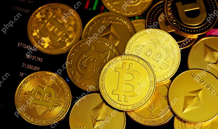 MEXC交易所官方网址最新入口_MEXC交易所官网入口 - php中文网