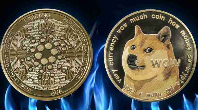 狗狗币(doge)和卡尔达诺(ada)2025年6月预测 ada 和狗狗币会迎来价格的大幅波动吗