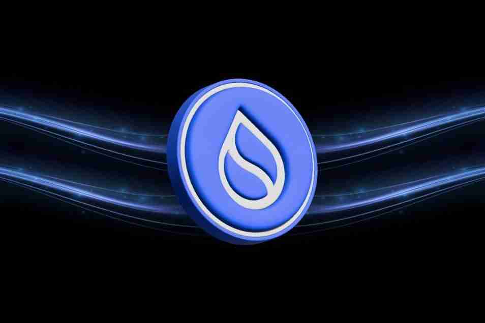 利用CETUS协议，从SUI/USD区块链生态系统耗资2.23亿美元