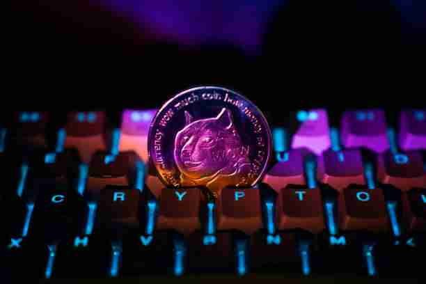 Dogecoin(Doge)刚进入抛物线曲线设置的第四阶段