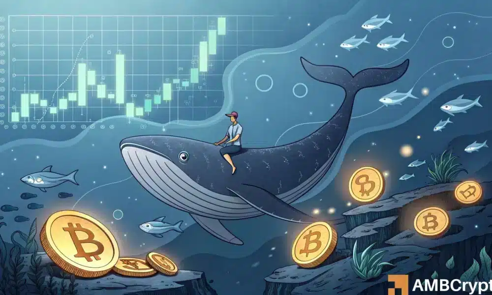 比特币[BTC]重新恢复了累积模式。