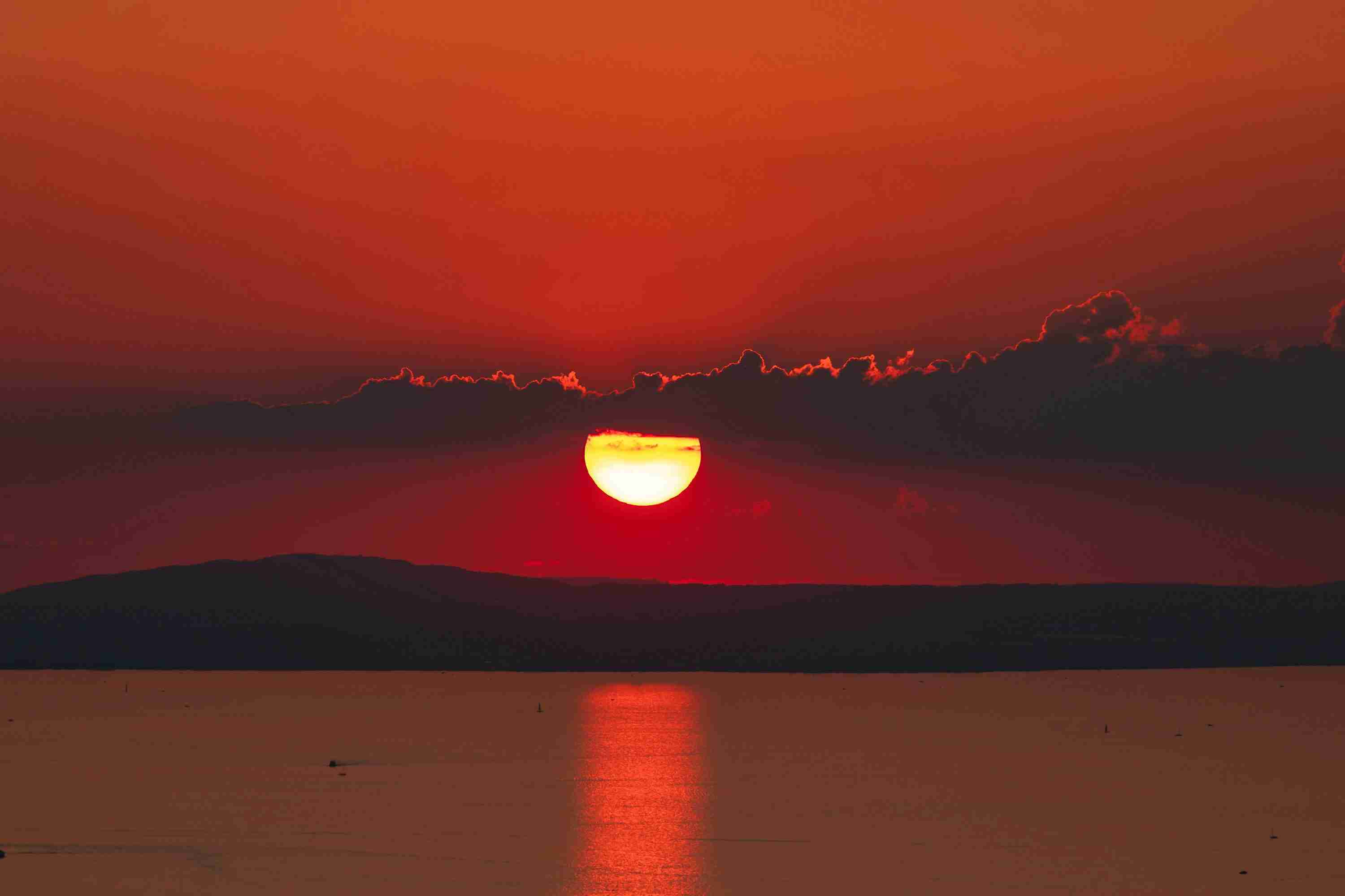 XRP价格动作形成了头和股的模式，为暴跌设置了舞台