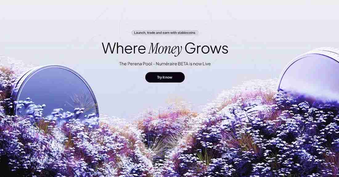 币安投资的Perena是什么？如何参与Perena项目？潜力、背景、团队、功能介绍