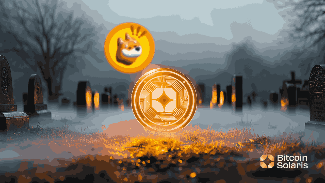 从模因梦到财富流：Bonk Coin，Bitcoin Solaris以及财富创造的未来