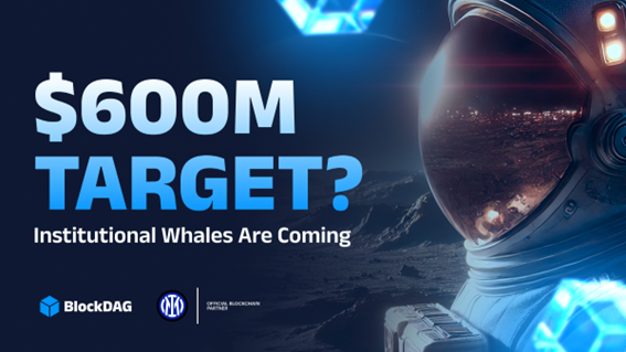 阻滞剂：在炒作之前建立生态系统