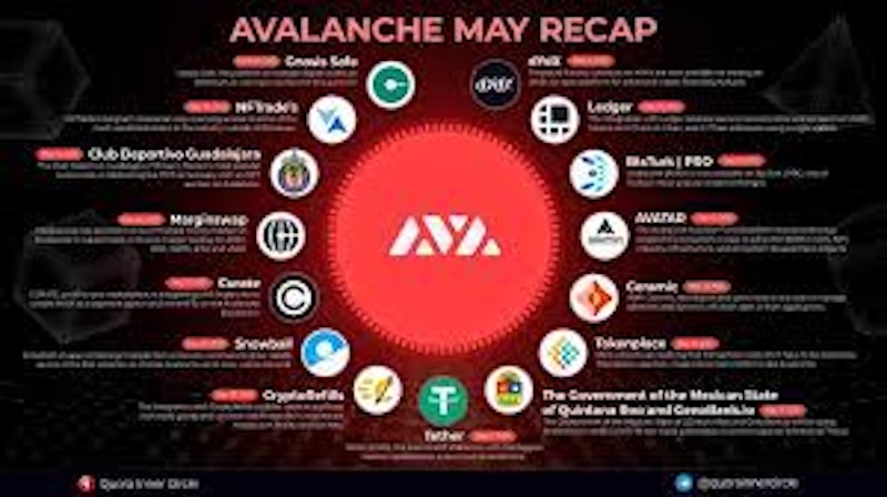 avalanche（avax）生态爆发！哪些项目值得提前布局？ - php中文网