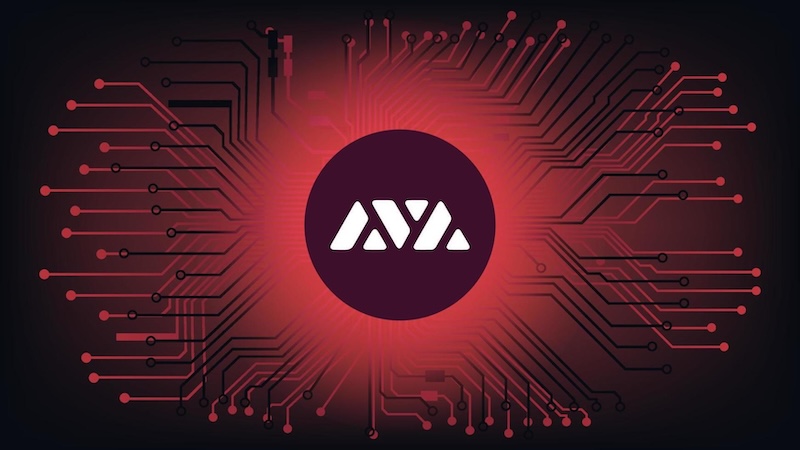 Avalanche（AVAX）生态爆发！哪些项目值得提前布局？ - php中文网