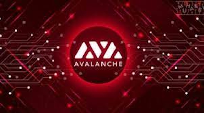 Avalanche（AVAX）子网生态爆发，哪些项目最具潜力？ - php中文网