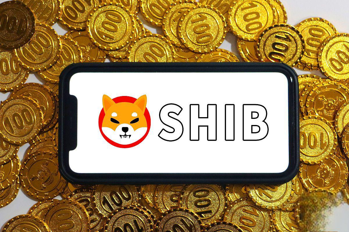 山寨币市场怎么玩 - php中文网