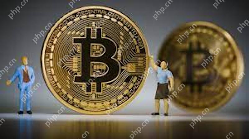 中东富豪最爱投资什么币  石油资金涌入加密货币市场BNB和BTC成机构首选 - php中文网