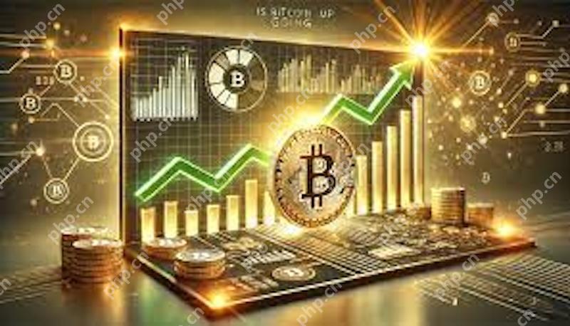 2025最佳货币交易平台推荐 新手必看！高收益低风险的数字货币交易指南 - php中文网