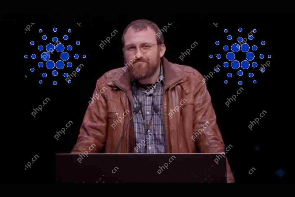 查尔斯·霍斯金森（Charles Hoskinson）概述了Cardano的大胆增长预测，以以太坊和Solana组合组合