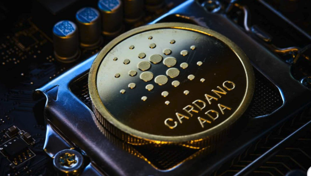 卡尔达诺是什么智能合约链？创始人背景？主流地位如何？ - php中文网