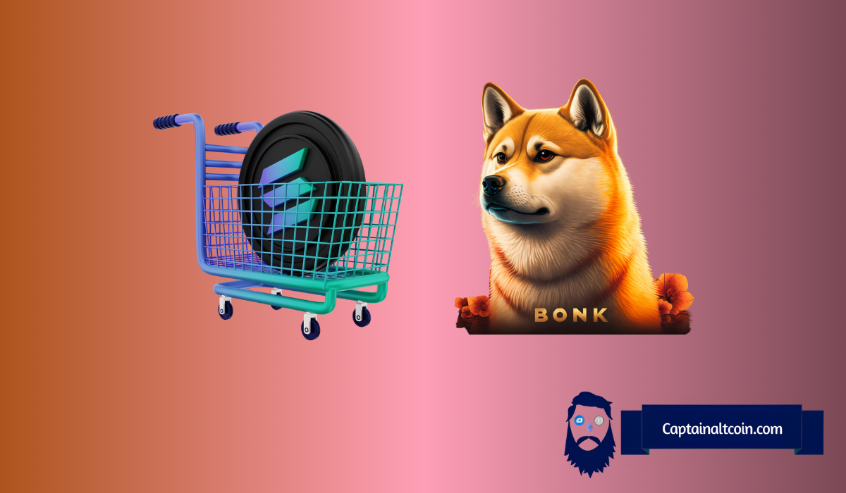 BONK、加密货币与代币销毁：这到底是怎么回事？