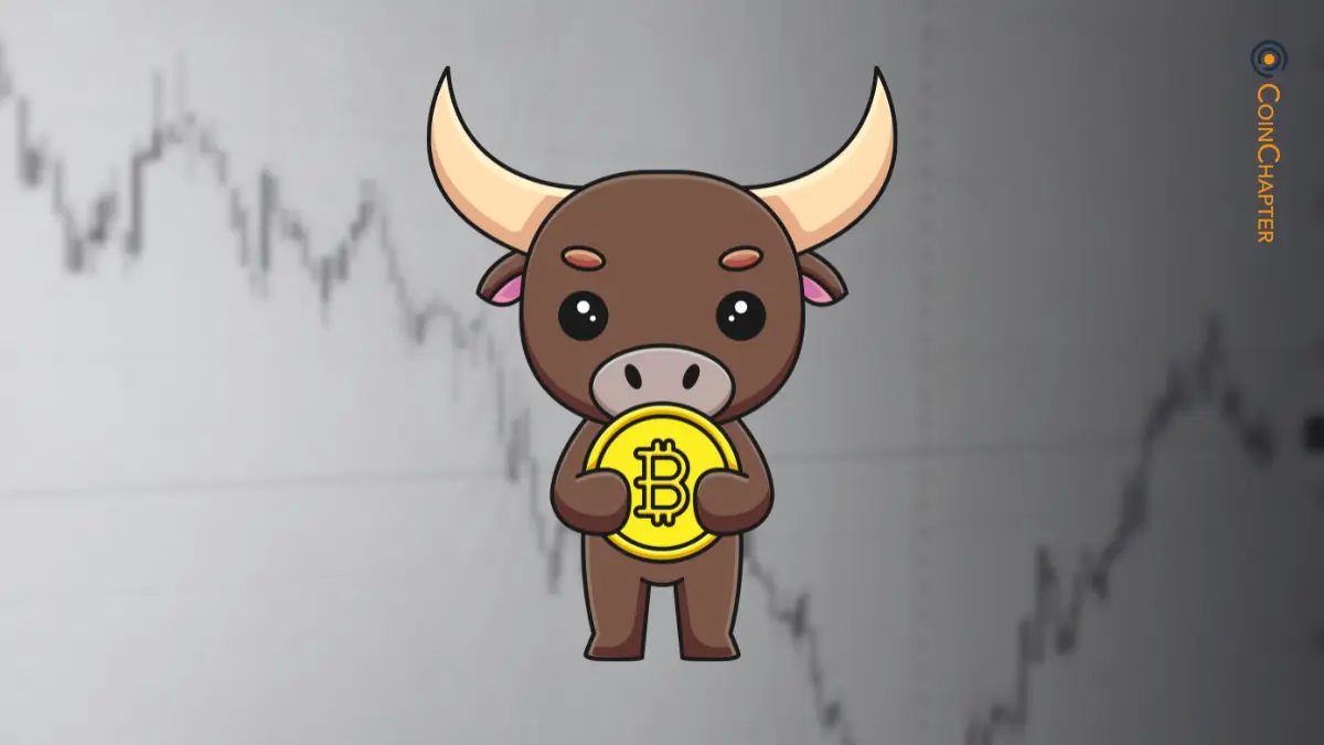 比特币、动能与大重置:下一步是什么?