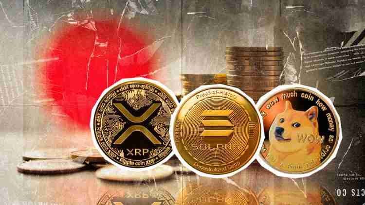 XRP剑指5刀,SOL重回200美元,狗狗币猛拉40%:牛市三大信号同时点亮?