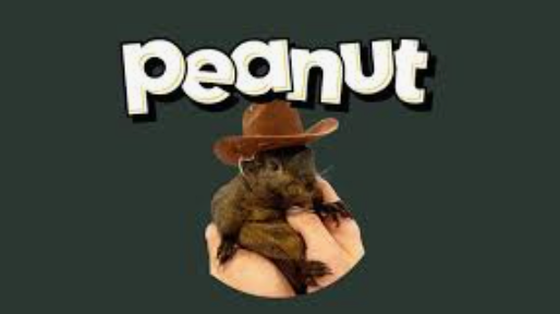 什么是peanut the squirrel？pnut币价格预测2025-2030年 - php中文网