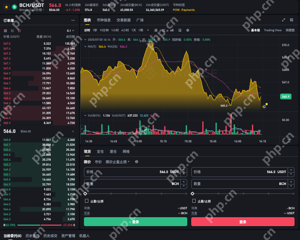 2025年BCH投资时机解析 BCH币是否值得买入？ - php中文网