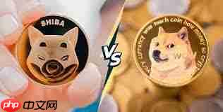 柴犬币和狗狗币哪个更具优势