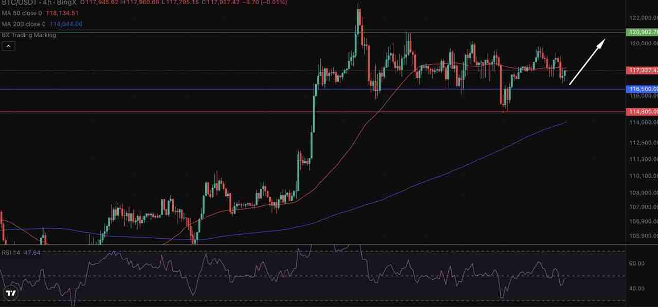 如何使用ChatGPT 进行加密货币？功能用法指南