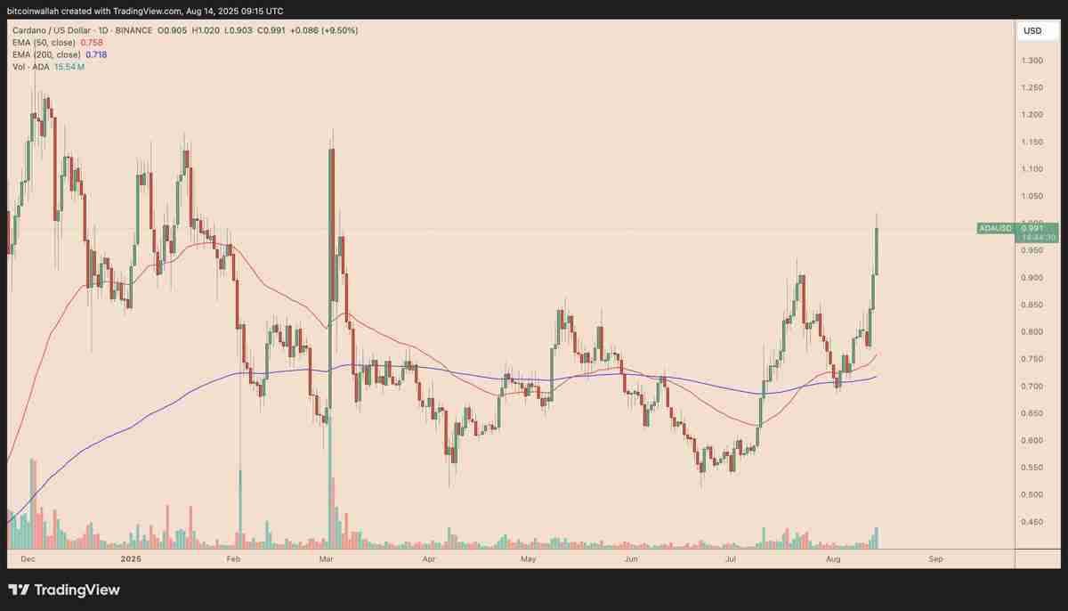 卡尔达诺（Cardano）分析师预测：未来数周或将迎来150%的“强势牛市反弹”