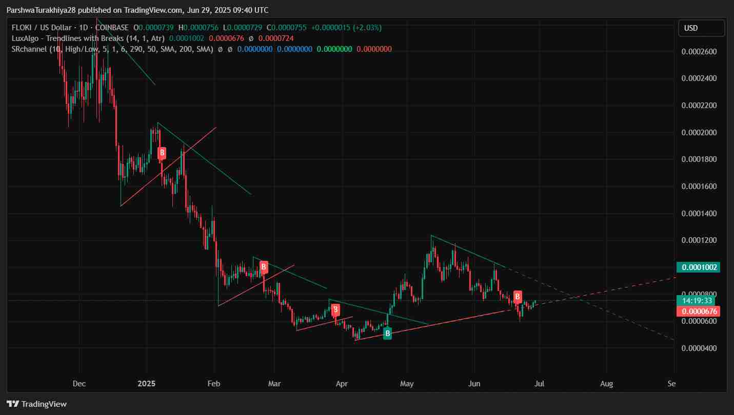 FLOKI币2025-2030 年价格预测:FLOKI 能否突破 0.00012 美元?