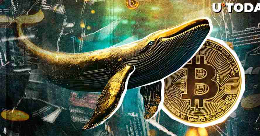 SharpLink Gaming评估以可转换股权和长期债券来放大以太坊储备导读