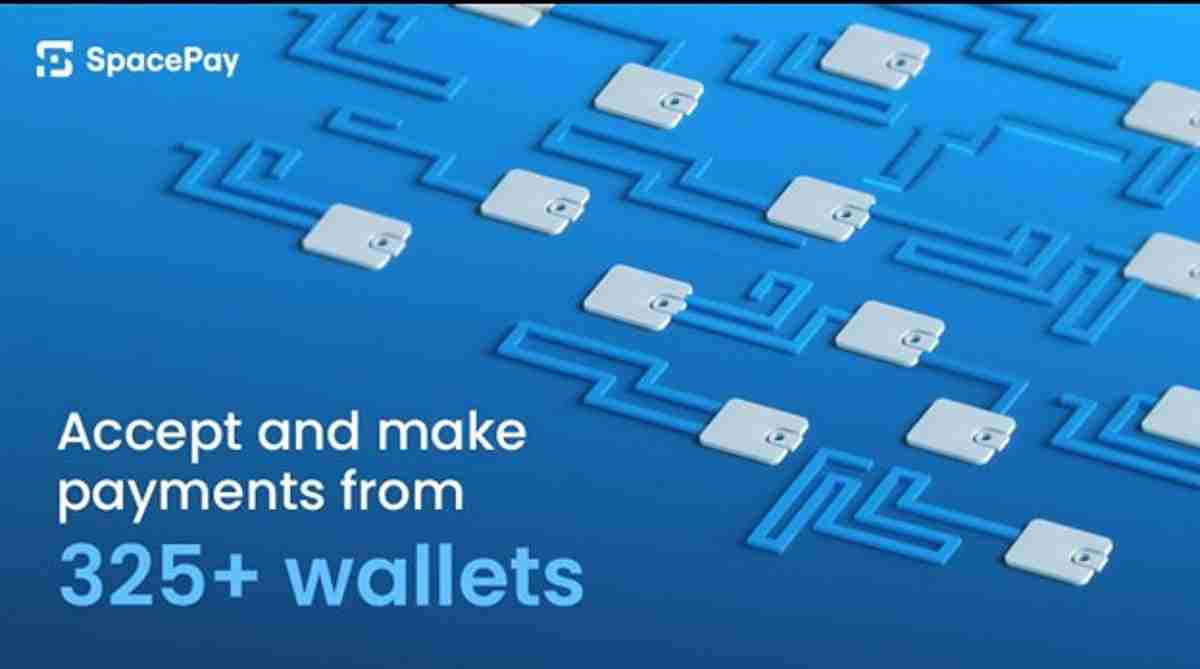 SpacePay，Altcoins＆Investing在2025年：嗡嗡声是什么？