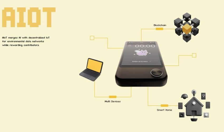 okzoo是什么？okzoo未来潜力解析及价格走势预测 - php中文网