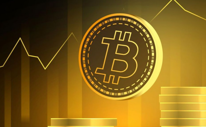 BTC最多持有人是谁_BTC最大钱 包是谁拥有 - php中文网