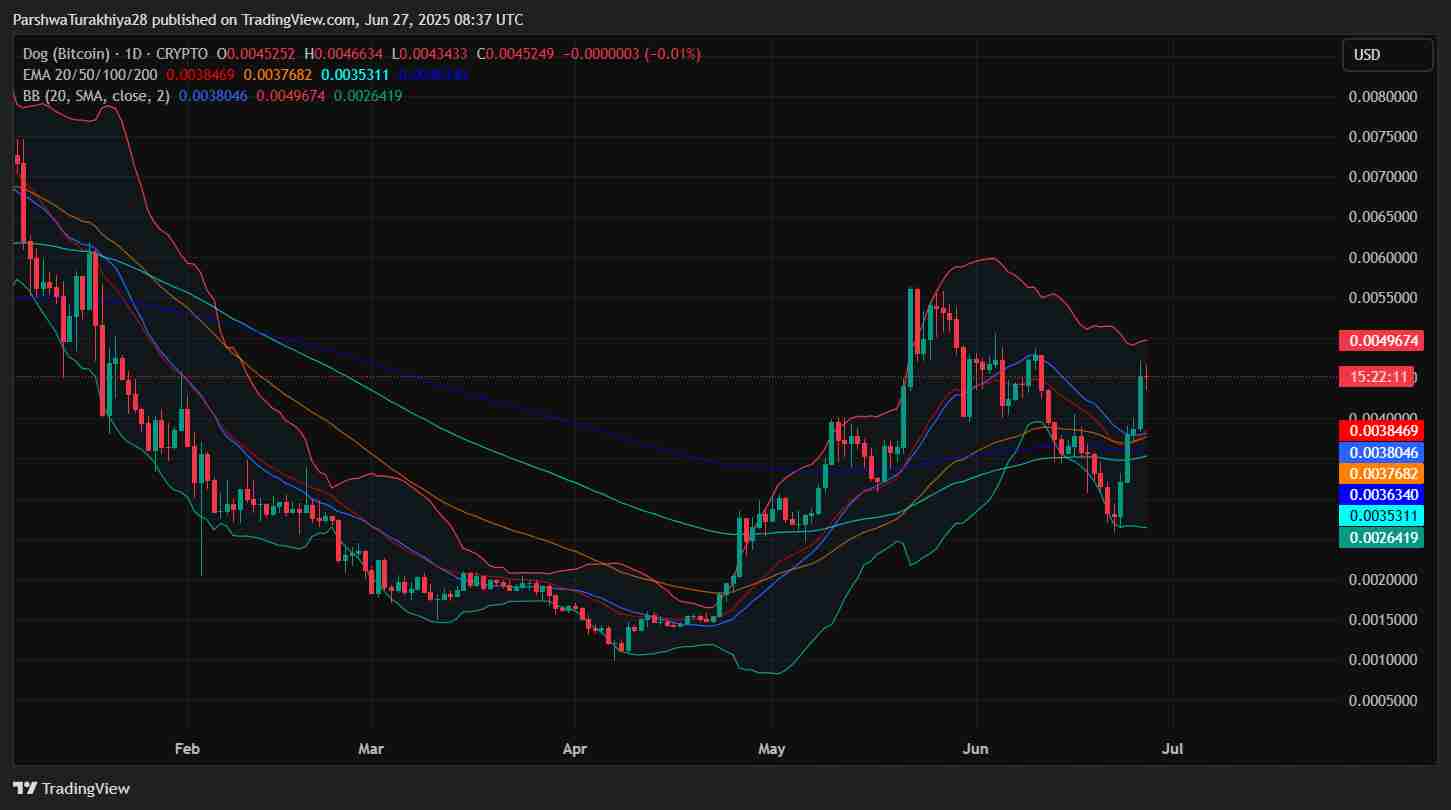 Dog (Bitcoin)2025-2030 年价格预测：DOG 能否达到0.0060 美元及以上？