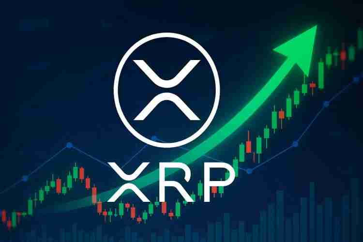 为什么XRP价格在下跌?能突破2美元吗?XRP币7月价格预测