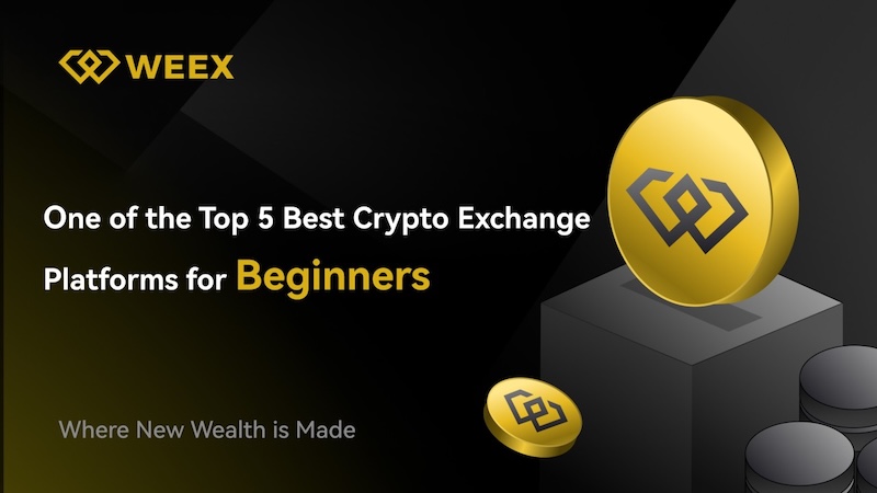 weex交易所app  weex交易所安装入口 - php中文网