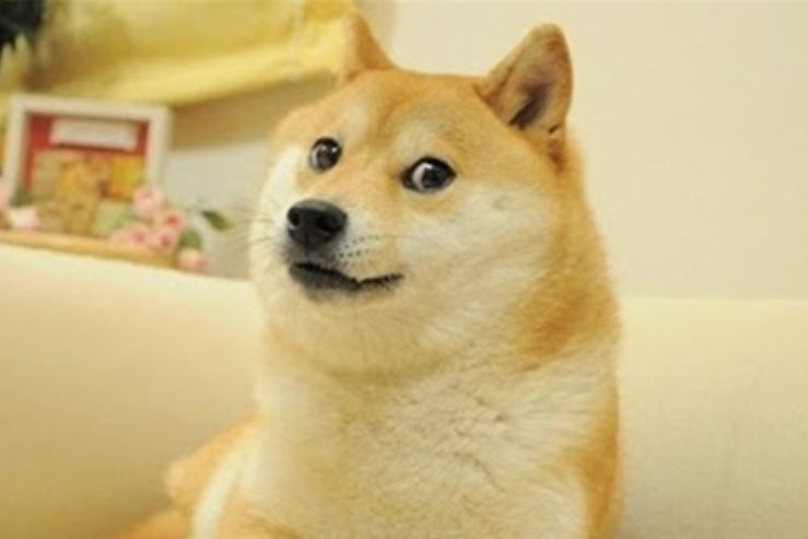 9月狗狗币doge价格会飙升30%吗？ - php中文网