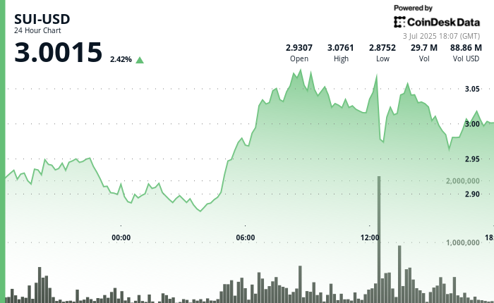 Sui、Lion Group与国库计划:开启山寨币投资新时代?