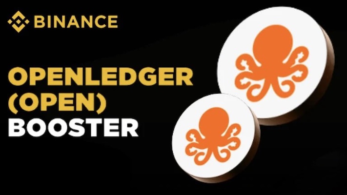 OpenLedger (OPEN)币是什么？OPEN代币如何购买？未来前景如何？ - php中文网