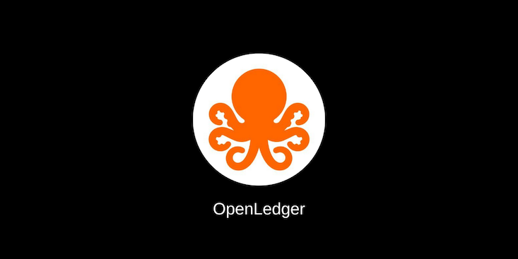 OpenLedger (OPEN)币是什么？OPEN代币如何购买？未来前景如何？ - php中文网