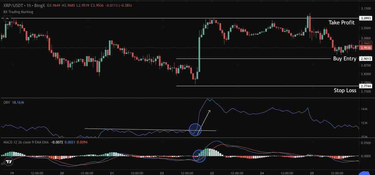加密货币中的OBV（平衡成交量）是什么？如何用它来判断买卖压力？
